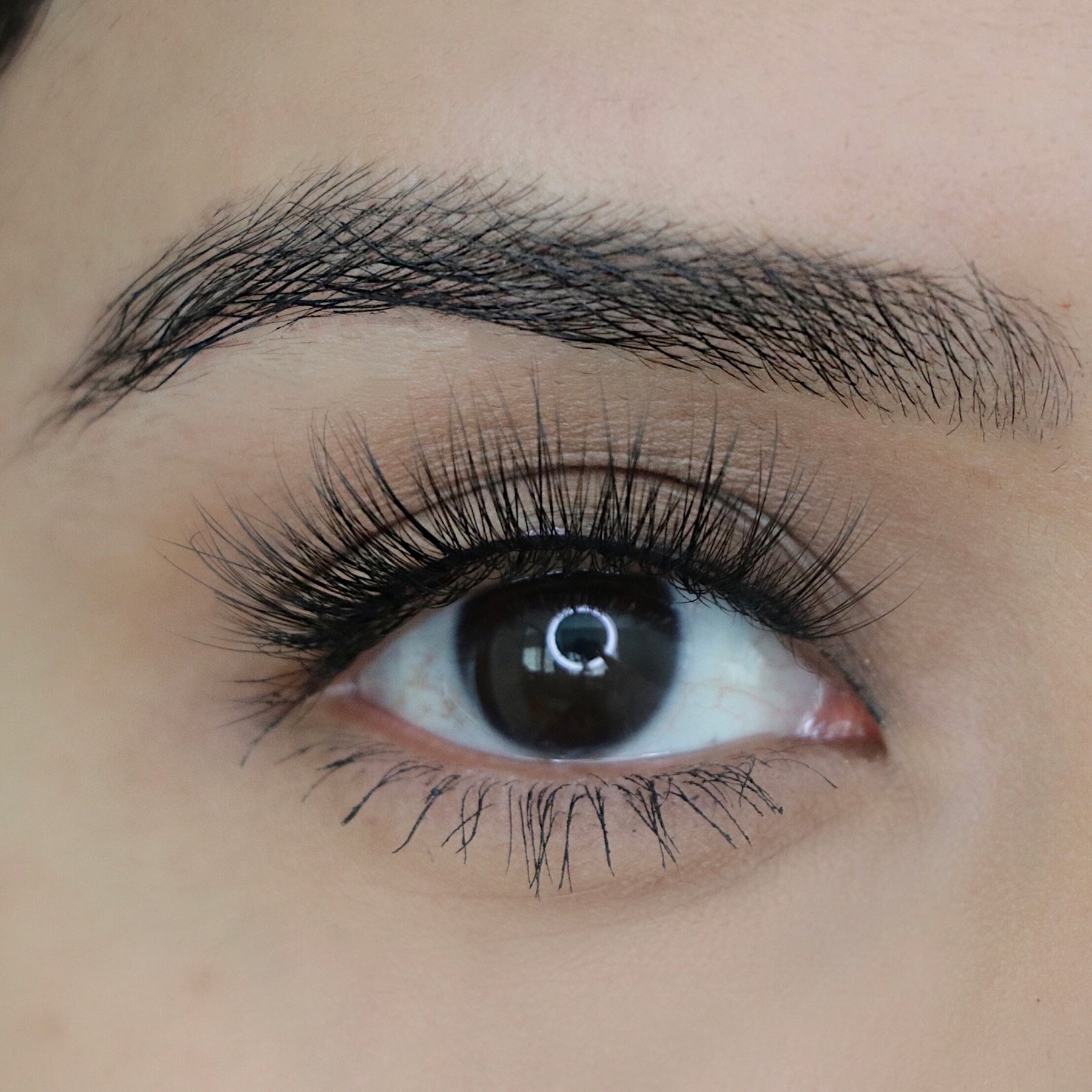 Big Fan: Paparazzi (False Lashes Pair)